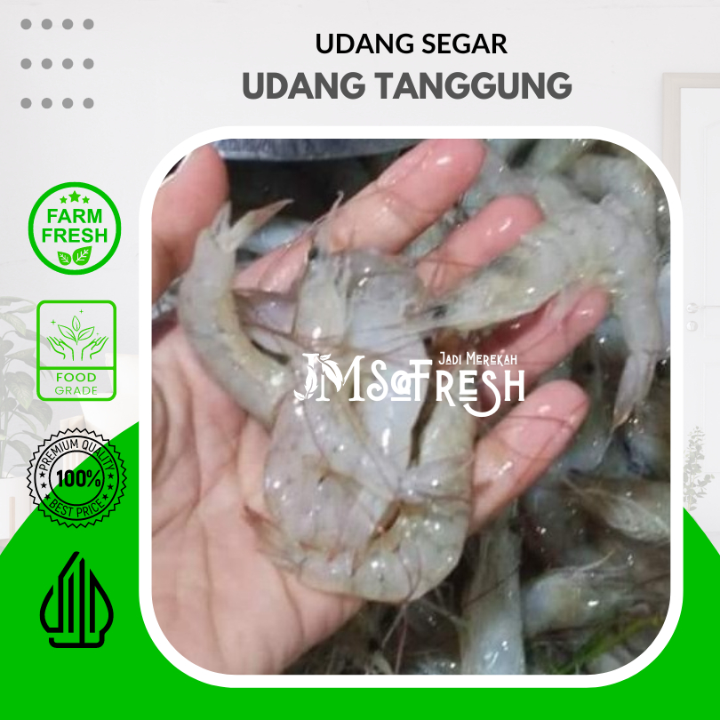 

[JM_SoFresh] Udang Vaname Sedang Segar dan Fresh