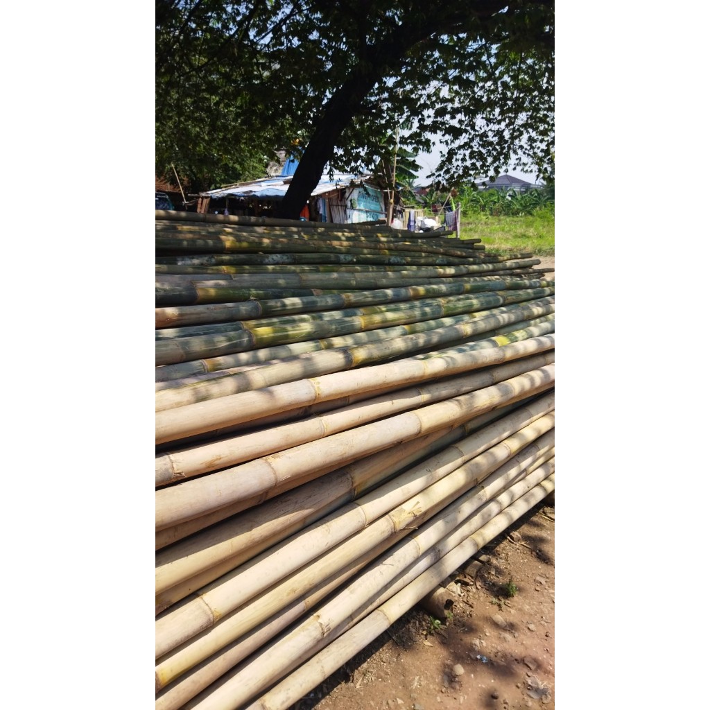 yuk order]] Bambu Steger Lebar 6-7 cm Panjang 6 Meter