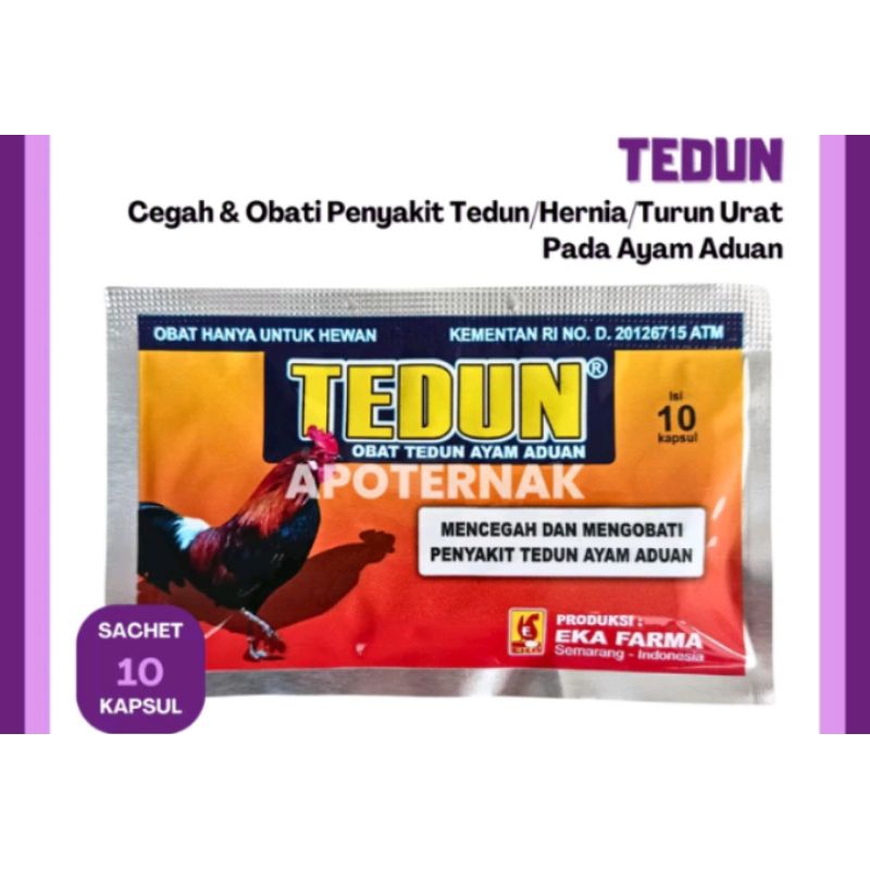 Tedun Eka Farma Obat Ayam Aduan Lumpuh Pincang Bengkak