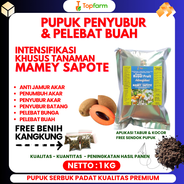 Pupuk Sawo Mamey Sapote / Pupuk Mamey Sapote Berbunga / Pupuk Mamey Sapote Lorito / Pupuk  Mamey Sap