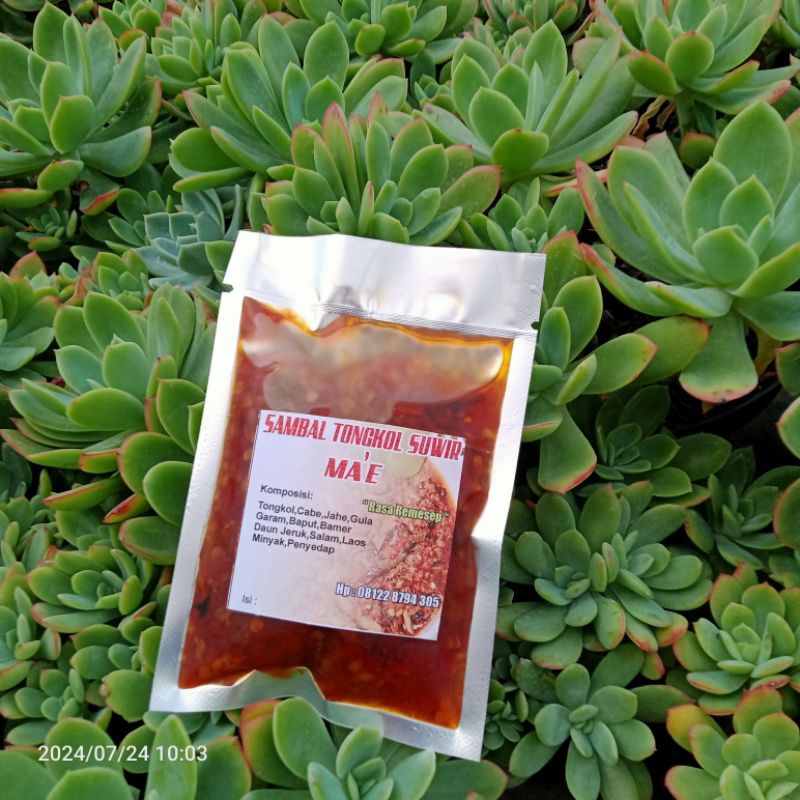 

sambal tongkol suwir pedas manis gurih (isi 50 gram)
