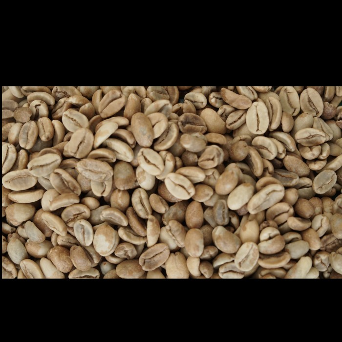 

Natural Green Bean Simalem - Biji Kopi Arabika Karo Single Origin
