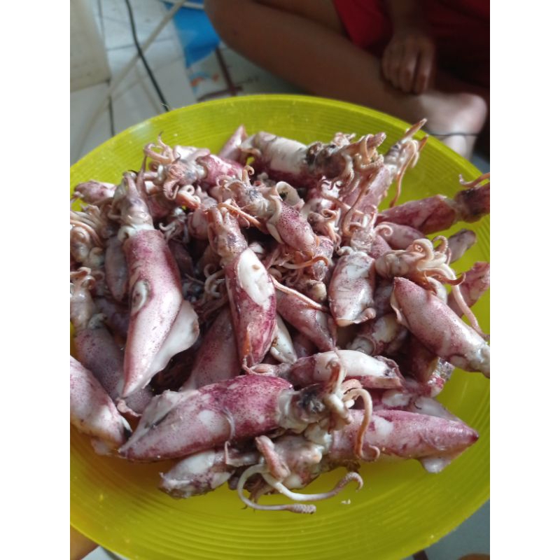 

cumi baby dan cumi bk