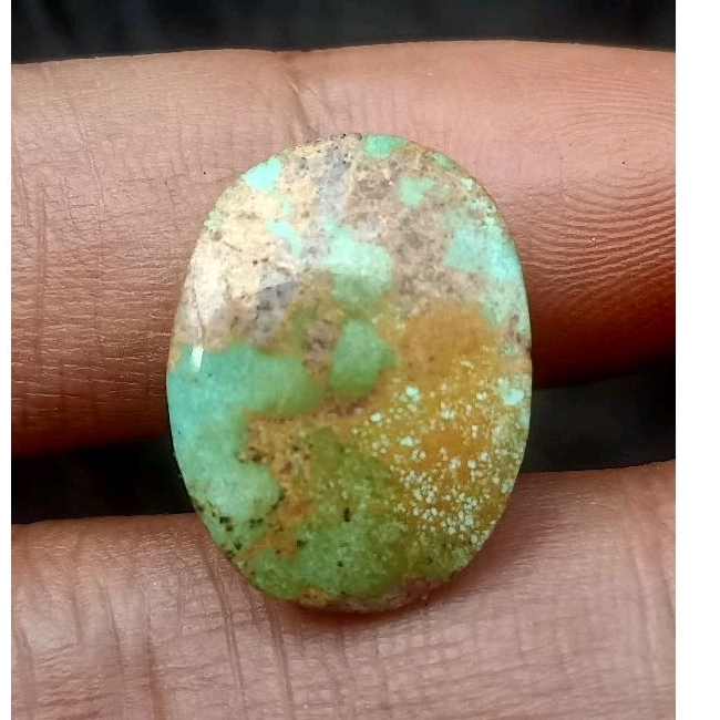 natural pirus Persia kotak Loston.