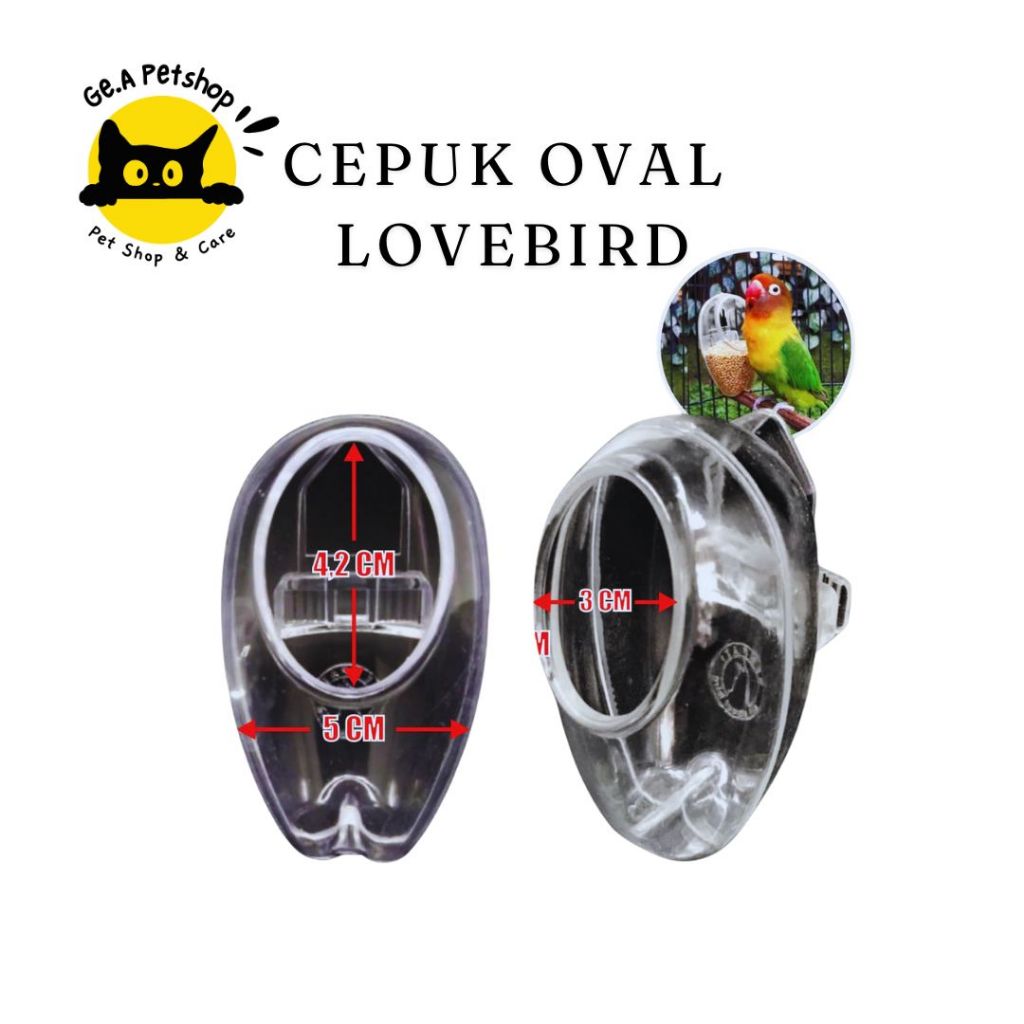 Cepuk Wadah Pakan Minum Burung Oval Plastik Transparan Anti Tumpah Lovebird, Murai, Kacer dll