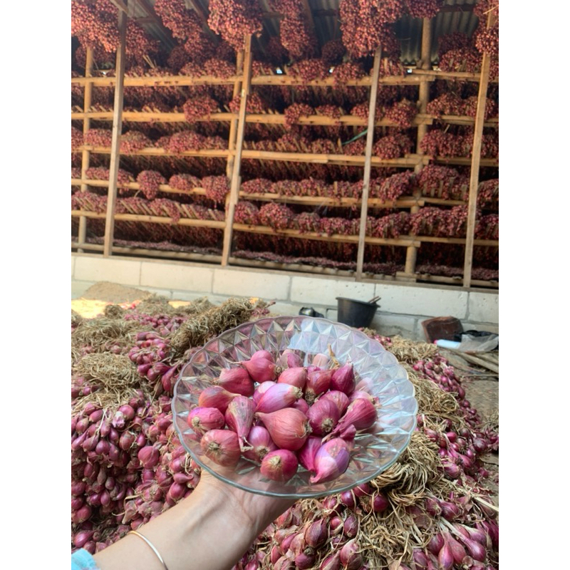

Bawang Merah Brebes kering ukuran super 1kg