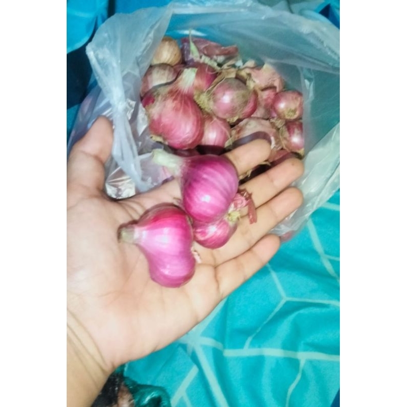 

Bawang merah 1kg