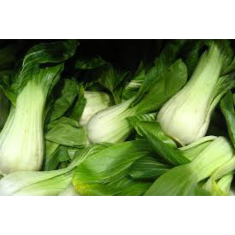 

pakcoy 1kg