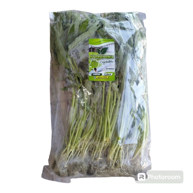 

Kangkung Baby Hidroponik Sayur