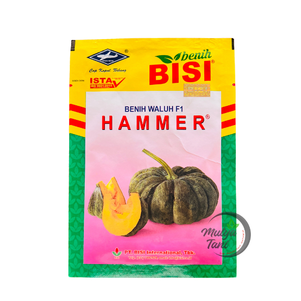 Benih Waluh Hammer F1 10gram Cap Kapal Terbang