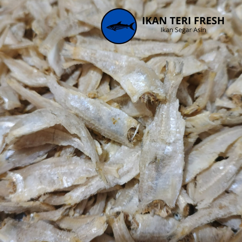

Ikan Asin | Ikan Teri Ukuran Besar | Teri Daging | Teri Medan | Teri Jengki 1 kg