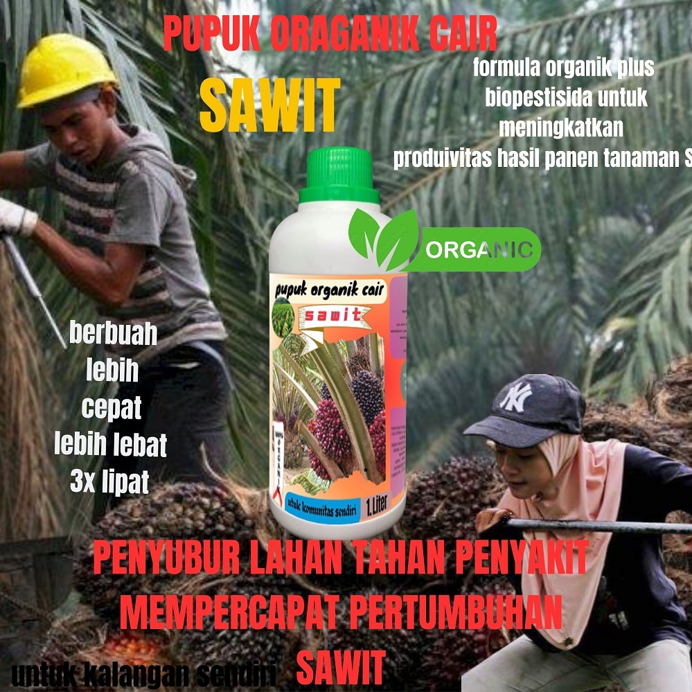 Pupuk Cair Pelebat Buah Sawit Pupuk Cair Untuk Bibit Sawit Pupuk Cair Khusus Tanaman Sawit