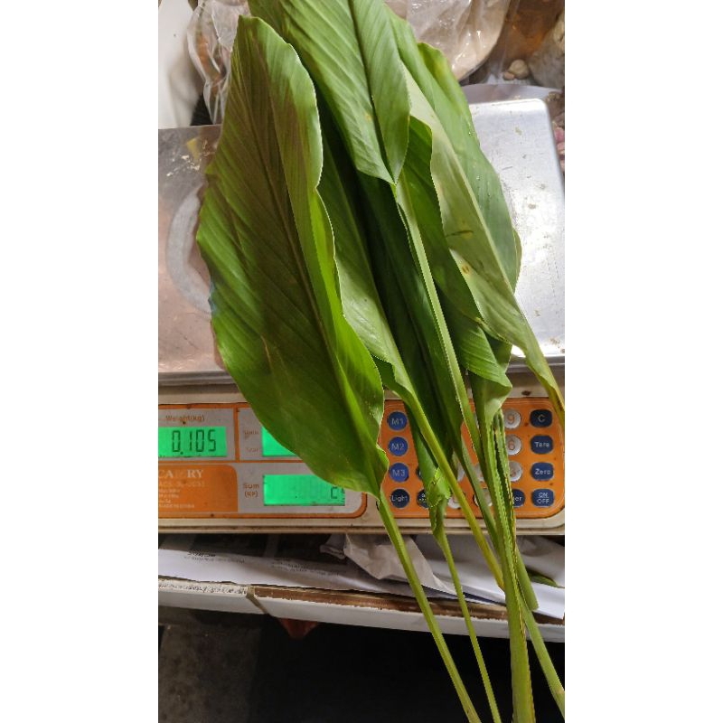 

daun kunyit 100grm