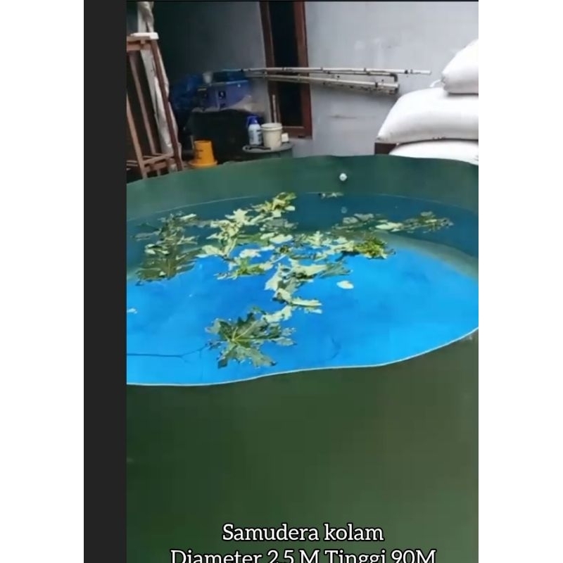 kolam bulat tanpa rangka D2,5M T1M//kolam bioflok//kolam ikan lele