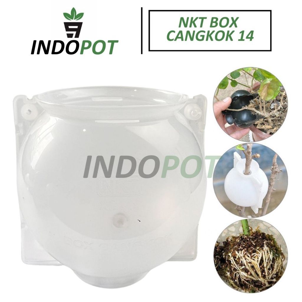 NKT Box 14 Peralatan Cangkok Tanaman Modern Solusi Petani Urban Farming