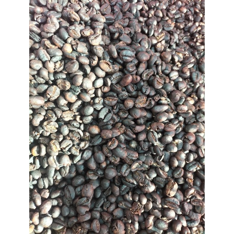

kopi robusta kopi sangrai biji kopi asli