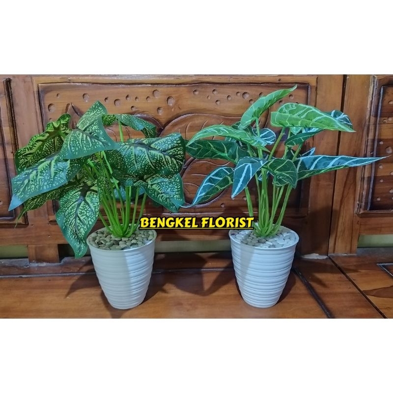 Bunga Tanaman Daun Keladi Palsu Artifici