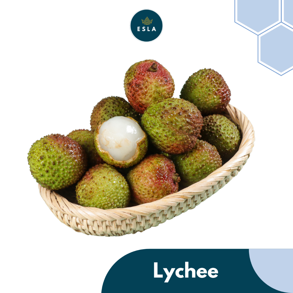 

LYCHEE I Buah Fresh dan Premium - ESLA