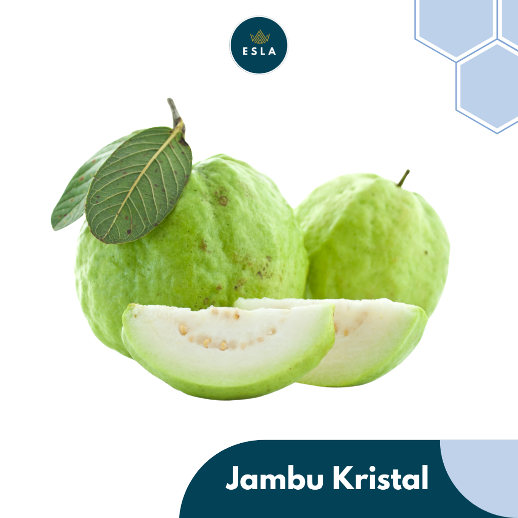 

JAMBU KRISTAL 1 KG I Buah Fresh dan Premium - ESLA