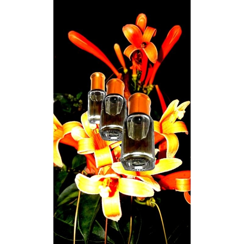 Parfum japaron hitam