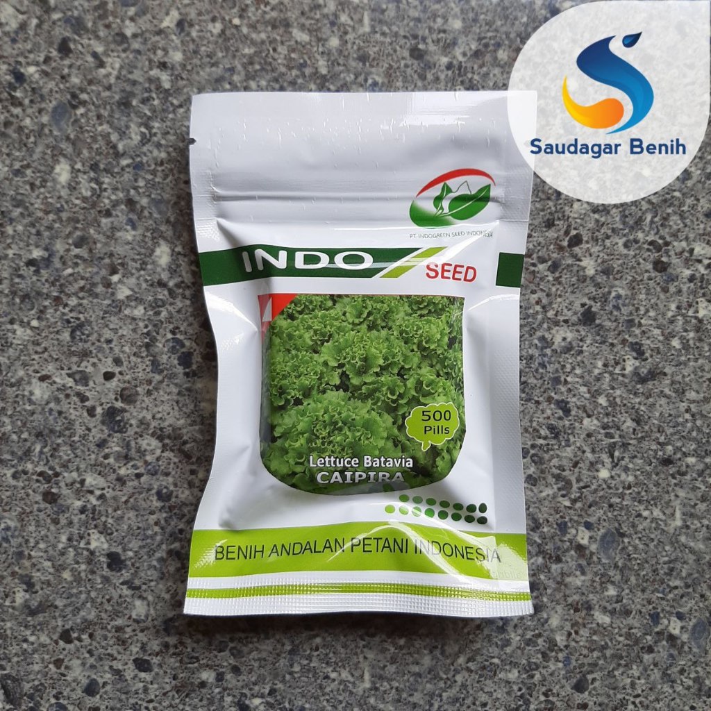 Benih CAIPIRA 500 pills - Benih Selada Caipira indoseed kemasan original Caipira