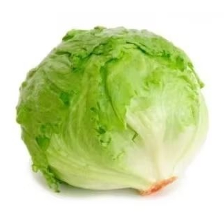 

Selada Lettuce / Lettuce Head / Lettuce Romaine