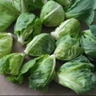 

Baby kol segar sayuran fresh dadakan. produk lokal