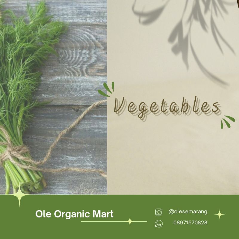 

Peterseli & Seledri Fresh 100g - Ole Organic Mart