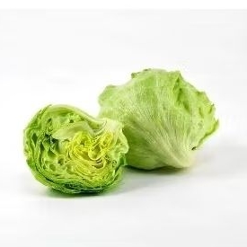 

LETTUCE Segar (500 gr)