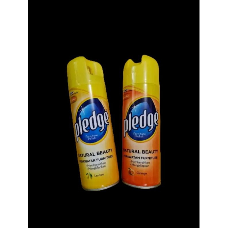 Perawatan Furniture (Furniture Polish)