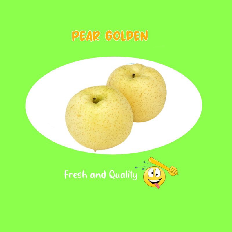 

BUAH PEAR GOLDEN