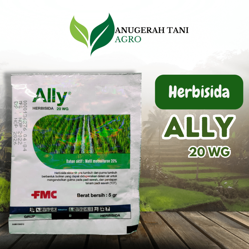 HERBISIDA ALLY 20 WG METIL METSULFURON 20%