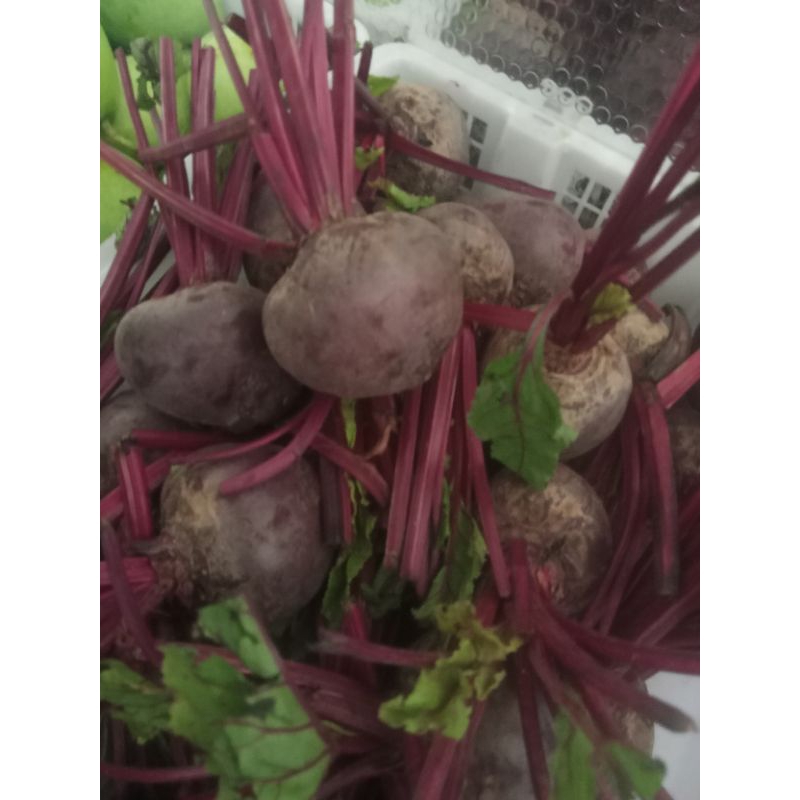 

BUAH BIT | BIT UNGU | buah beetroot fresh