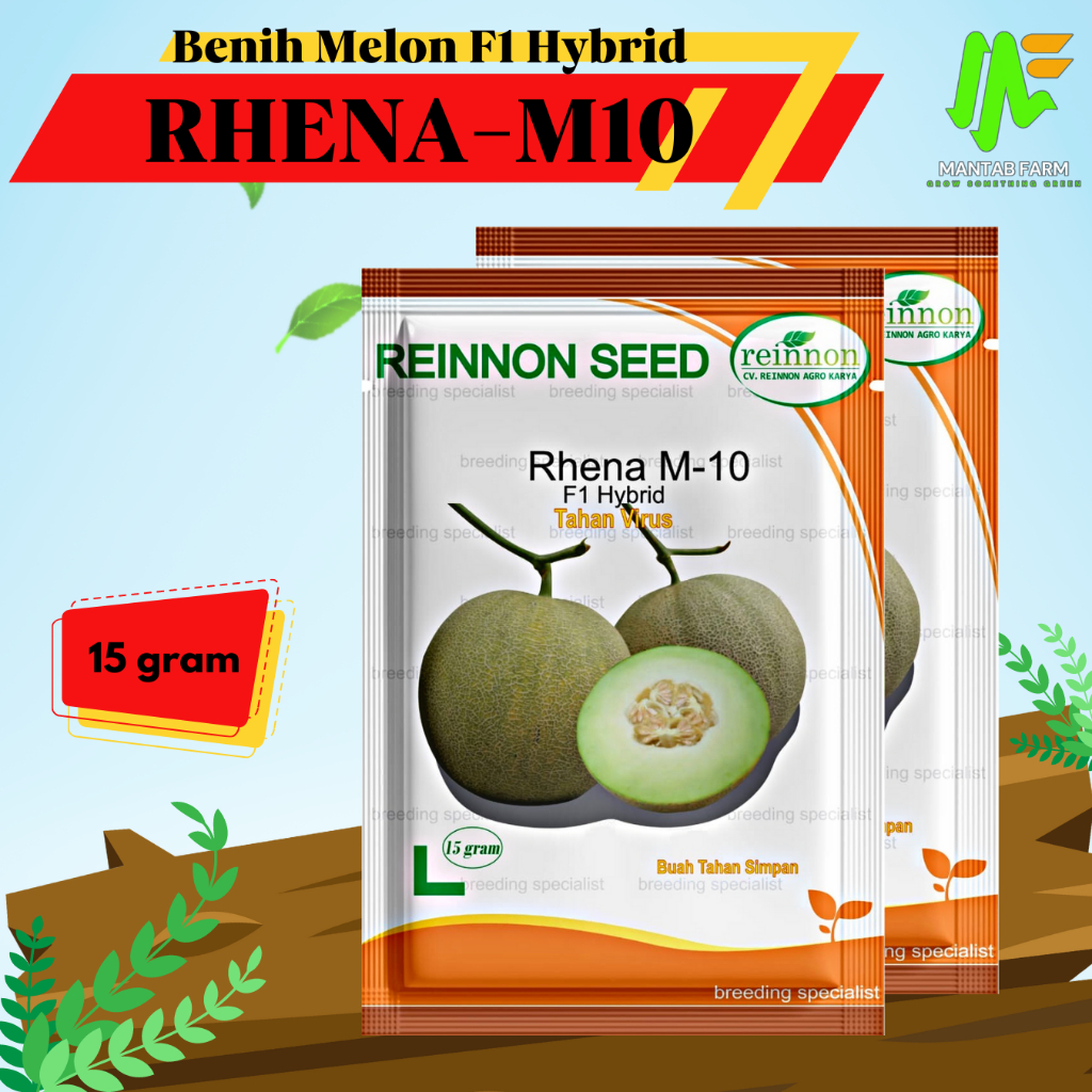 Benih Bibit Melon F1 Rhena M10 Tahan Virus 15 gram Reinnon Seed