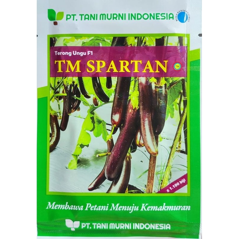 Benih/Bibit Terong Ungu F1 TM SPARTAN