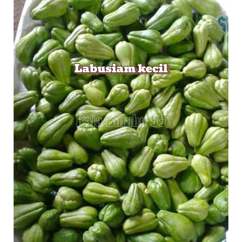 

LABUSIAM KECIL 500gr