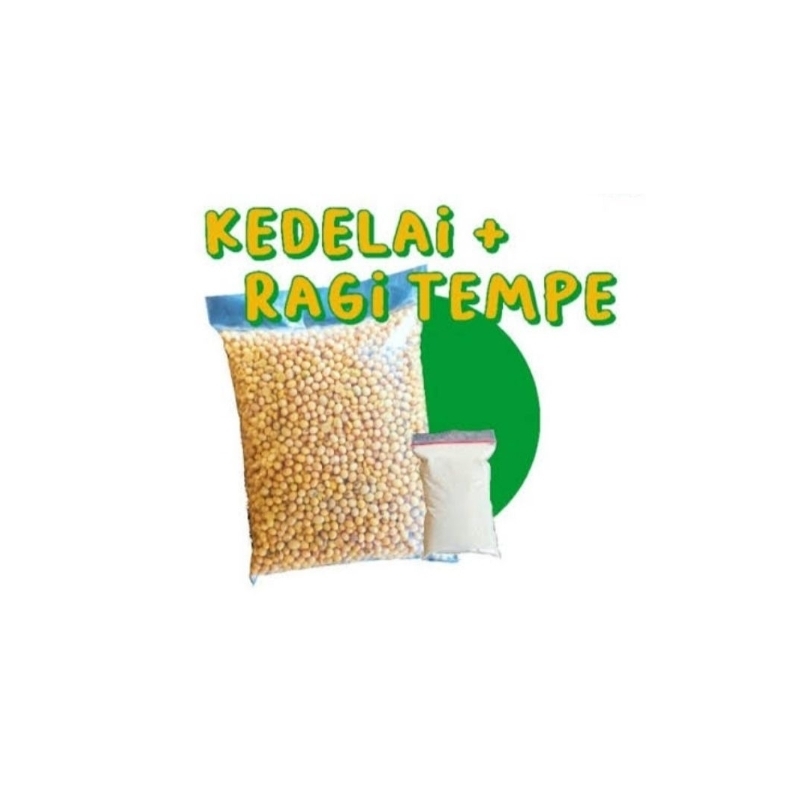 

kedelai + ragi tempe
