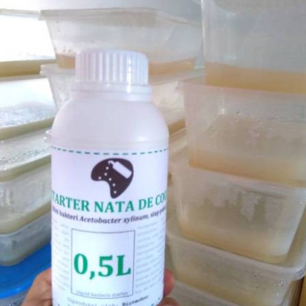 

Langsung Checkout STARTER NATA DE COCO BIBIT NATA 5ml