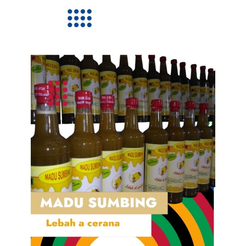 

MADU ASLI api cerana