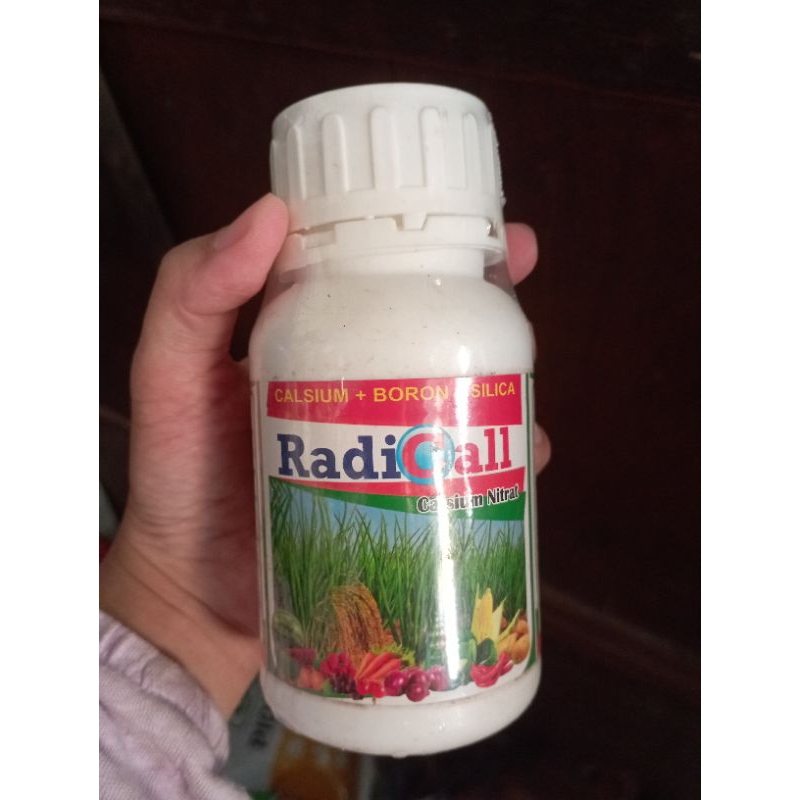 Pupuk Radicall Calsium Nitrat (Calsium + Boron Silica) : Mencegah buah rontok dan menambah bobot bua