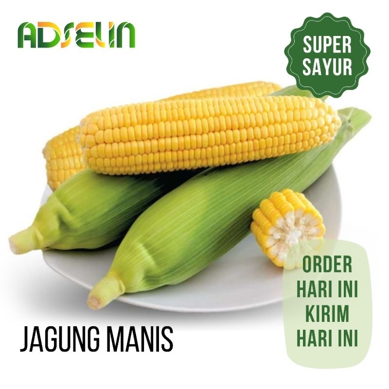 

Jagung Manis Sayuran - PENGIRIMAN INSTAN