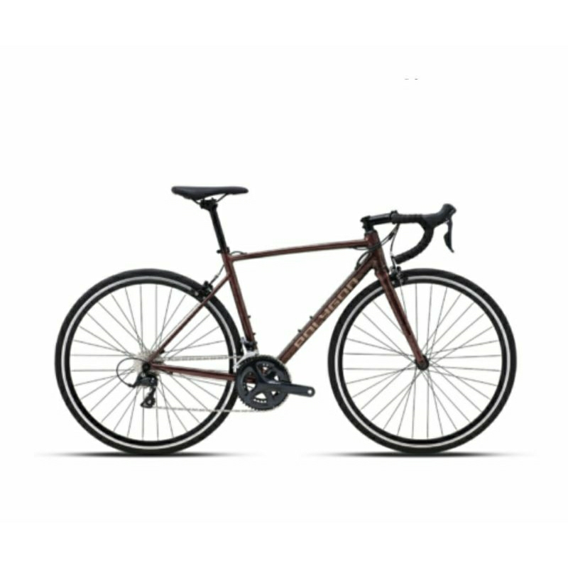 Sepeda Polygon Strattos S3 Terbaru Roadbike