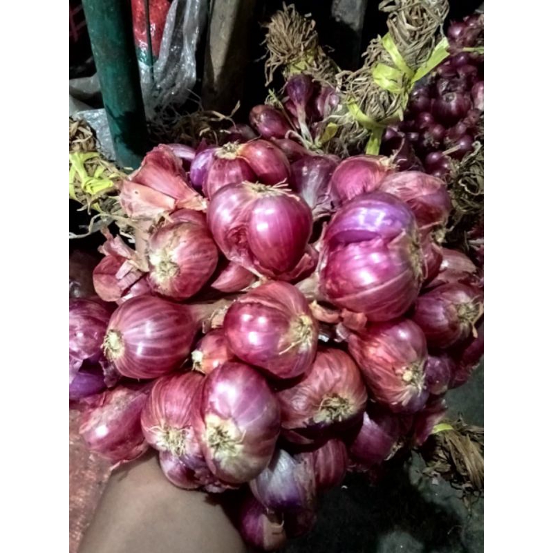 

BAWANG MERAH SUPER BESAR GLOWING DAUN KERING