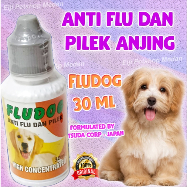 FLUDOG OBAT ANTI FLU ANJING – OBAT PILEK ANJING FLU DOG – OBAT FLU ANJING