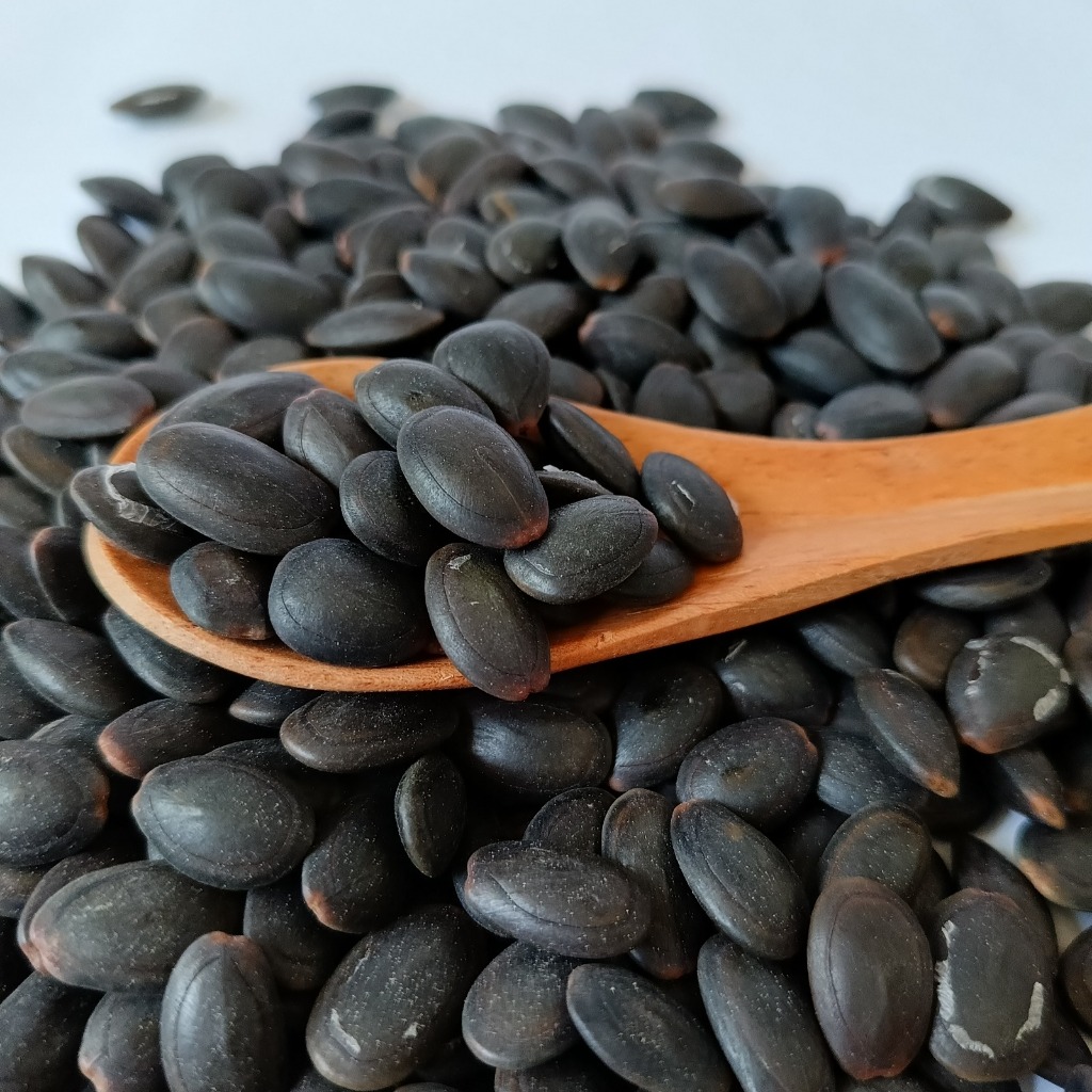 

Biji Kedawung Kering - Kemasan 1Kg & 500Gr