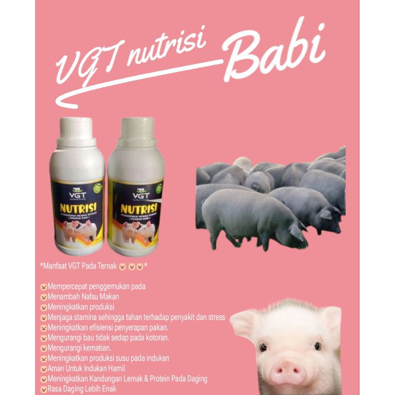 Silvisedut Vgt Nutrisi Babi