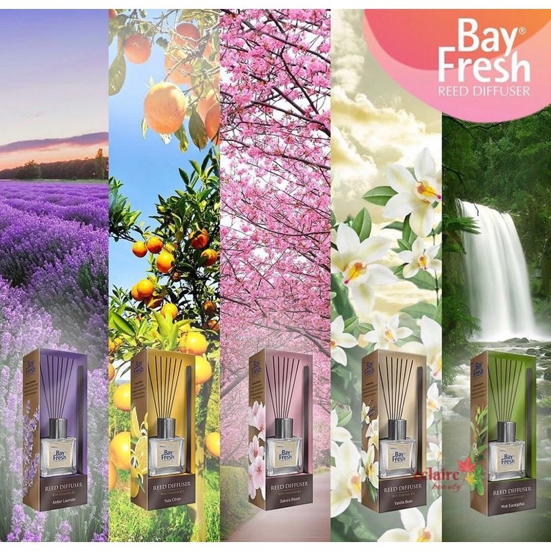 BAYFRESH REED DIFFUSER Reguler With Essential Oil Series ( Bayfresh Reed Diffuser Amber Lavender, Ba