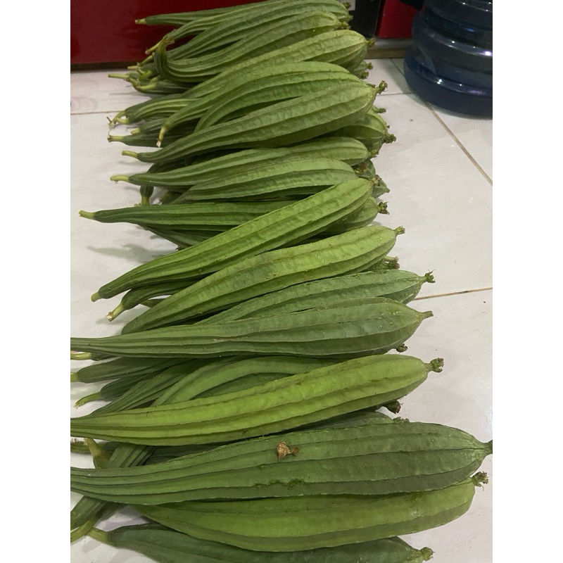 

Sayuran Oyong / Gambas Hijau