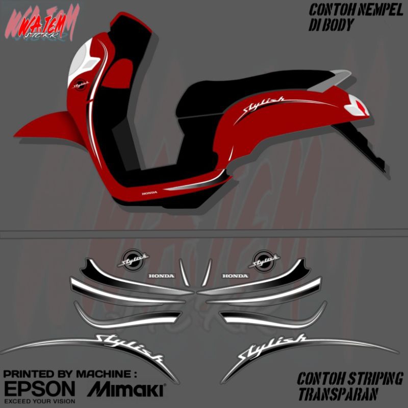 STRIPING TRANSPARAN SCOOPY NEW STYLISH