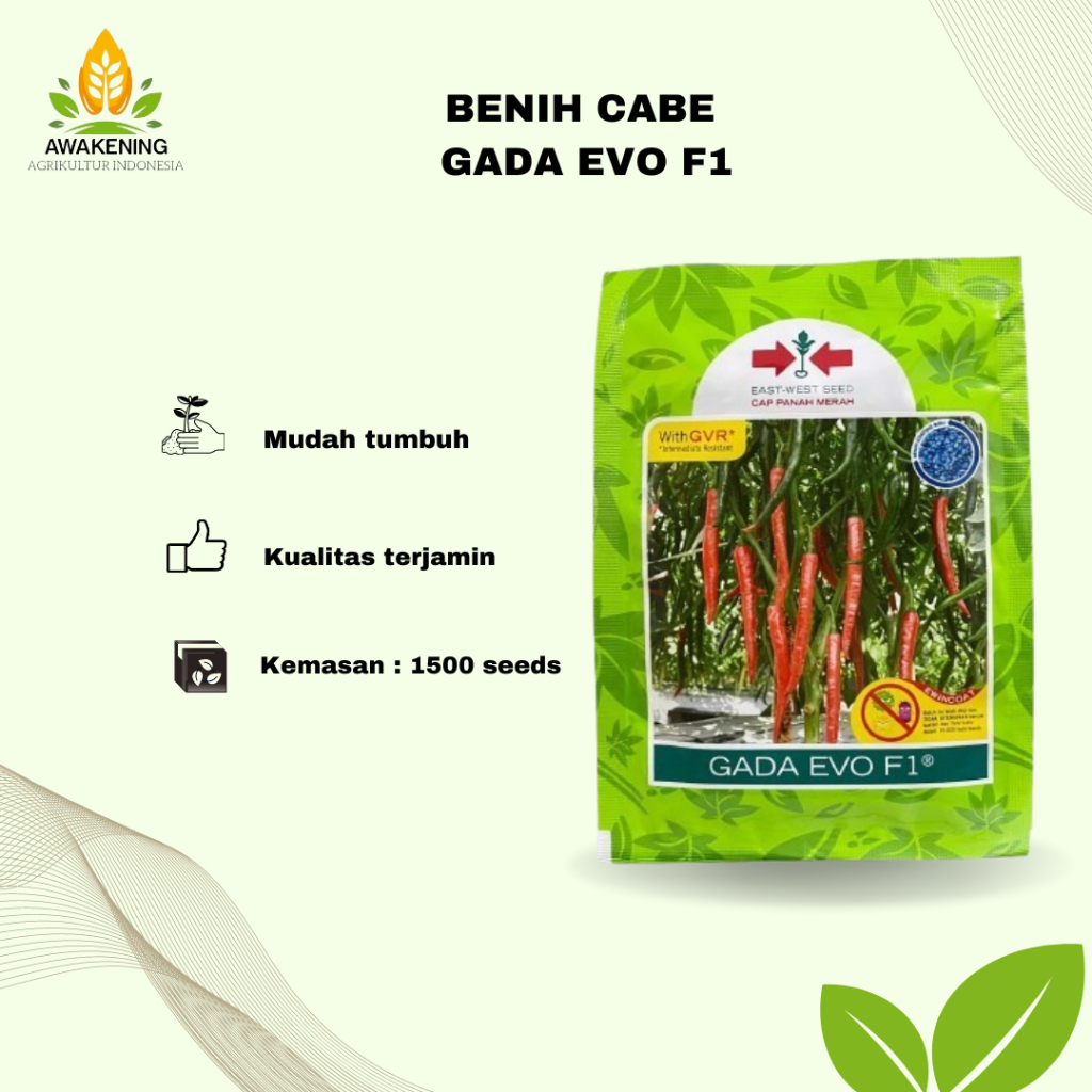 BENIH CABE/CABAI BESAR GADA EVO F1 1500 BUTIR CAP PANAH MERAH